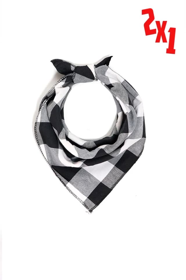 Pashmina 2x1 - Ch-23574