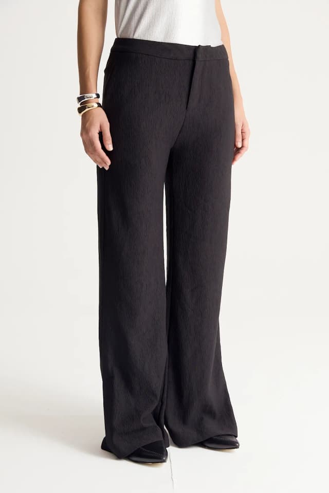 Pantalón crinkled pleated Desiderata