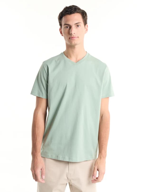 Remera básica 100% algodón DARWIN