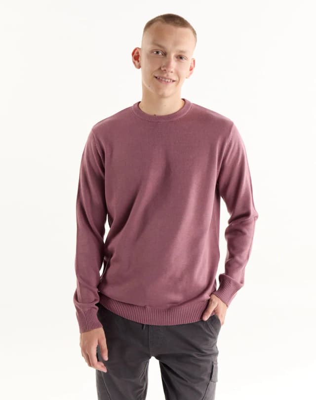 Sweater cuello redondo liso ODDER