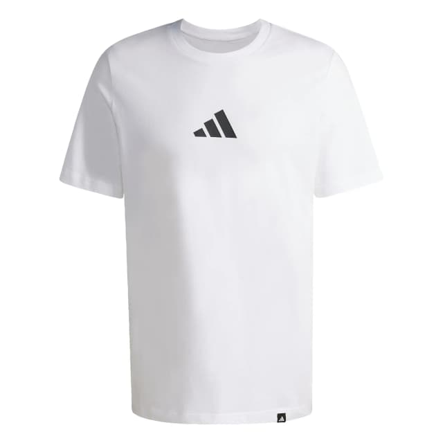 Remeras estampadas adidas REMERA ARGENTINA TANGO GRAPHIC Hombre